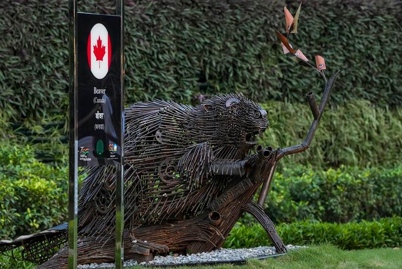 national bird of canada