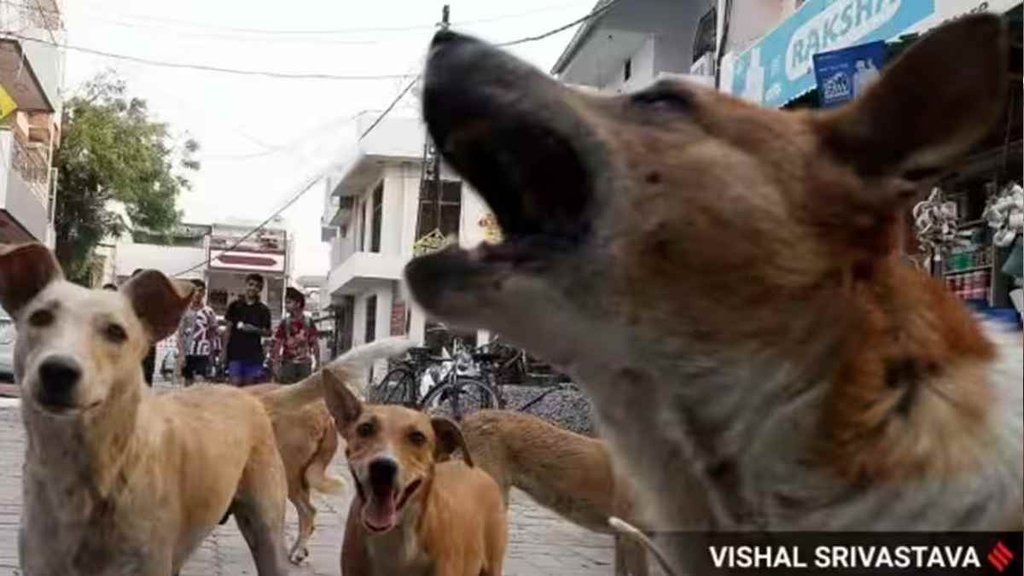 Viral Video II Hindi News II Trending News (1)