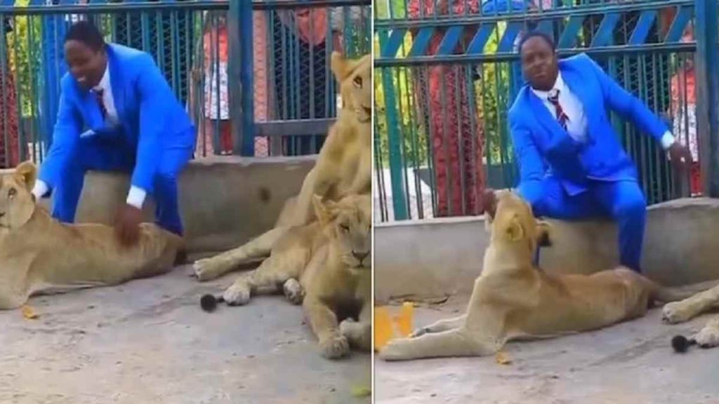 Viral Video II News