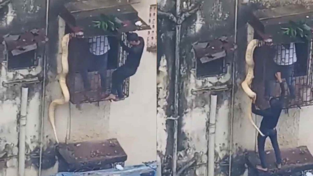 Viral Video II Trending News II Snake In Mumbai