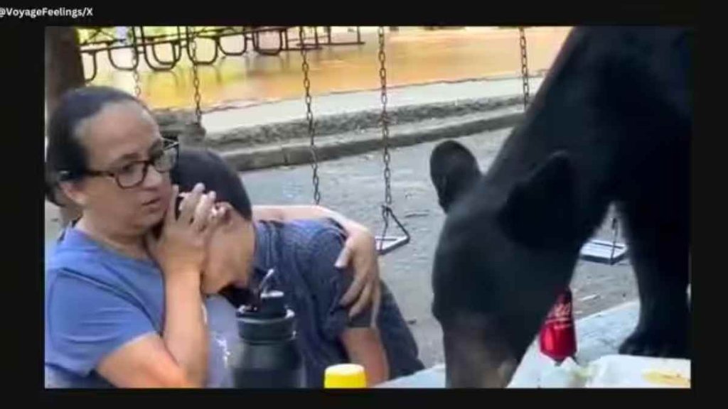 Viral Video II trending News