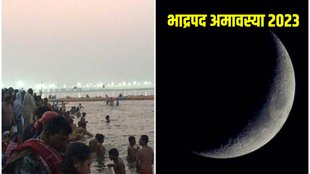 bhadrapada amavasya significance, kushotpatini amavasya remedies