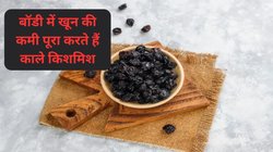 Black Raisins Benefits:नसों में जमा गंदे कोलेस्ट्रॉल को साफ करता है ये 1 काले रंग का ड्राईफ्रूट, सुबह खाली पेट खा लीजिए, सेहत को होंगे 5 फायदे