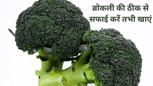 how to clean broccoli properly, broccoli wash and clean tips, broccoli health benefits, how to clean broccoli properly, broccoli wash and clean tips,ब्रोकली के सेहत के लिए फायदे