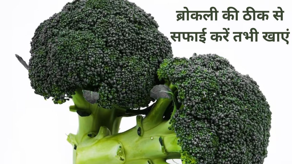 how to clean broccoli properly, broccoli wash and clean tips, broccoli health benefits, how to clean broccoli properly, broccoli wash and clean tips,ब्रोकली के सेहत के लिए फायदे