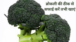 वेट लॉस से लेकर लिवर तक को हेल्दी रखती है ब्रोकली, इस तरह करेंगे सेवन तो हो सकते हैं 5 बीमारियों के शिकार, सब्जी के संपूर्ण फायदे के लिए जरूरी है ये 1 काम