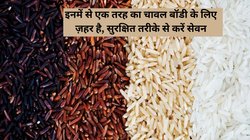 इस 1 चावल का सेवन इस तरह भूलकर भी नहीं करना, ये ज़हर है, थोड़ा-थोड़ा भी खाएंगे तो ये Poison फैल सकता है पूरी बॉडी में, जाने खाने का सुरक्षित तरीका