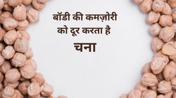 बॉडी की कमजोरी दूर कर ताकत बढ़ाएगा चना, जितना भी खाएं वजन बढ़ने का नहीं होगा खतरा, प्रोटीन और मिलेगी एनर्जी