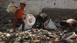 children| Picking| garbage