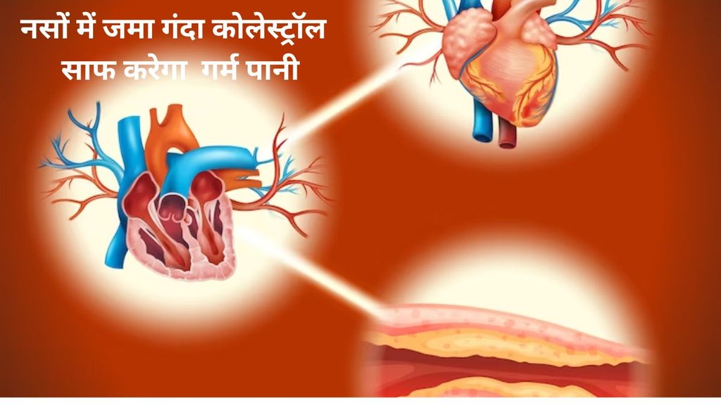 hot water for cholestrol control,holesterol kaise kam kren,cholesterol level,high cholesterol,drinking hot reduced cholesterol level,warm water reduce cholesterol