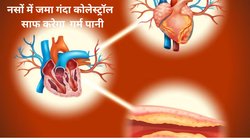 नसों में गंदा कोलेस्ट्रोल जमा होने से बढ़ सकता है दिल को खतरा, रोज़ाना 2 गिलास गर्म पानी पिएं, नर्व्स में जमा सारी गंदगी हो जाएगी साफ और बॉडी को मिलेंगे 10 फायदे