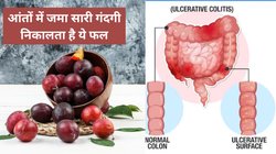 इस 1 लाल सुर्ख रंग के गुदेदार फल का करें सेवन, आंतों में जमा सारी गंदगी मल के साथ निकल जाएगी बाहर, कब्ज का भी होगा इलाज