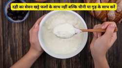 बेहतरीन सुपरफूड है दही, Curd खाते समय ये गलतियां करने से सेहत पर पड़ेगा बुरा असर, जानें दही खाने का सही समय और तरीका