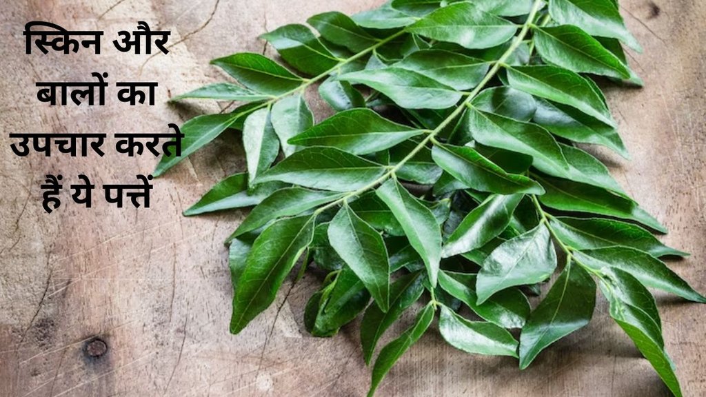 curry leaves for hair growth,curry leaves for hair,curry leaves for skin,curry leaves for stomach problems,curry leaves weight loss,curry leaves powder,curry leaves water