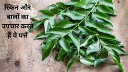 सुबह खाली पेट खा लीजिए 5 करी के पत्ते, दूर हो जाएंगी ये 5 बीमारियां, आचार्य बालकृष्ण से जानिए कैसे करें इस्तेमाल