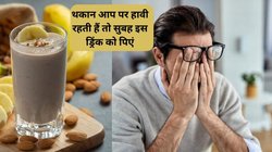 Energy Boosting Drink: बस 3 दिन ये ड्रिंक पी लें कमजोरी और थकान 100 फीसदी हो जाएगी खत्म, 65 साल मे भी 25 की ताकत देगा ये नुस्खा