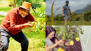 Salman Khan to Nana Patekar, these actors do farming in real life