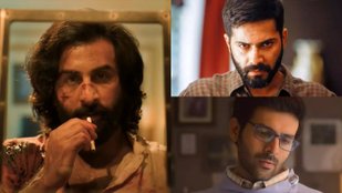 Ranbir Kapoor to Kartik Aaryan, these actor also seen in sweet roles, now they are making waves in intense roles