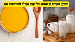 बॉडी में बढ़ गई है कमजोरी, हड्डियों में रहता है दर्द और आती है चरचराहट की आवाज, दूध के साथ करें इस 1 चीज का इस्तेमाल, लैक्टोज इंटॉलरेंस की नहीं होगी परेशानी