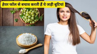 Amla, ghee, mishri, Amla, ghee, mishri hair fall, hairfall ayurveda remedies,hair fall solution, hair fall cure, home remedies of hair fall, बालों को झड़ने से रोकने के उपाय