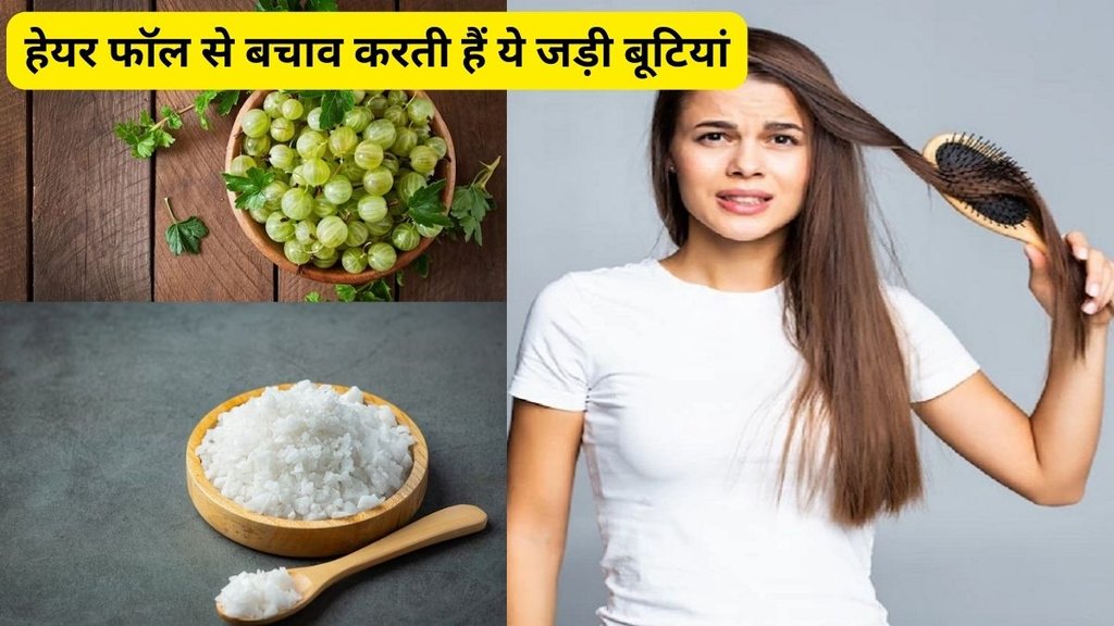 Amla, ghee, mishri, Amla, ghee, mishri hair fall, hairfall ayurveda remedies,hair fall solution, hair fall cure, home remedies of hair fall, बालों को झड़ने से रोकने के उपाय