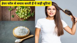 Hair Fall Solution: क्या हेयर फॉल से बचाव करने में आयुर्वेदिक जड़ी बूटियां हैं असरदार? क्या आंवला, घी, मिश्री से झड़ते बालों का होगा इलाज? जानिए