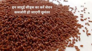 halim seeds benefits for periods, halim seeds with milk, halim seeds benefits in hindi, halim seeds benefits in pregnancy, garden cress seeds for fertility, garden cress seeds for weight loss, health shots, हलीम के बीज के फायदे, हलीम के बीज के स्वास्थ्य लाभ, हलीम के बीज खाने का तरीका, वजन कम करने के लिए हलीम के बीज,