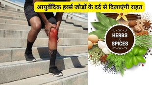 how to control uric acid, uric acid control tips, how to control uric acid,acharya bal krishn home remedies for uric acid control