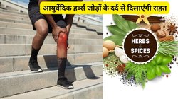 हाई Uric Acid का जड़ के साथ करना चाहते हैं सफाया, ये 4 चमत्कारी जड़ी बूटियां दिलाएंगी दर्द से छुटकारा, आचार्य बालकृष्ण के मुताबिक कीजिए उपचार खुद ही कहेंगे वाह