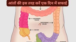 पेट में जमा गंदगी शरीर की कमजोरी और दर्द का बन सकती है कारण, 4 तरीके अपनाएं आंतों में जमा सारा मल निकल जाएगा बाहर, 1 दिन में हो जाएगी बॉडी की सफाई