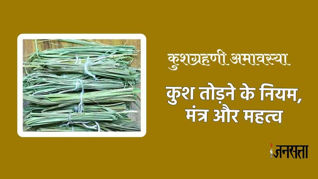 Amavasya 2023, amavasya kab ki hai, pithori amavasya 2023, Kushagrahani Amavasya 2023,