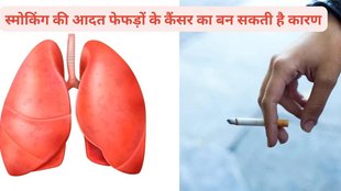 Lung cancer causes,Lung cancer diagnosis,Lung cancer symptoms,फेफड़ों के कैंसर, फेफड़ों के कैंसर का कारण, फेफड़ों के कैंसर से कैसे बचाव करें