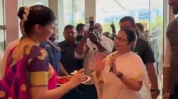 ममता बनर्जी का वीडियो शेयर कर बीजेपी नेता बोले- इन्हें अब तिलक से भी दिक्कत? आ रहे ऐसे कमेंट्स