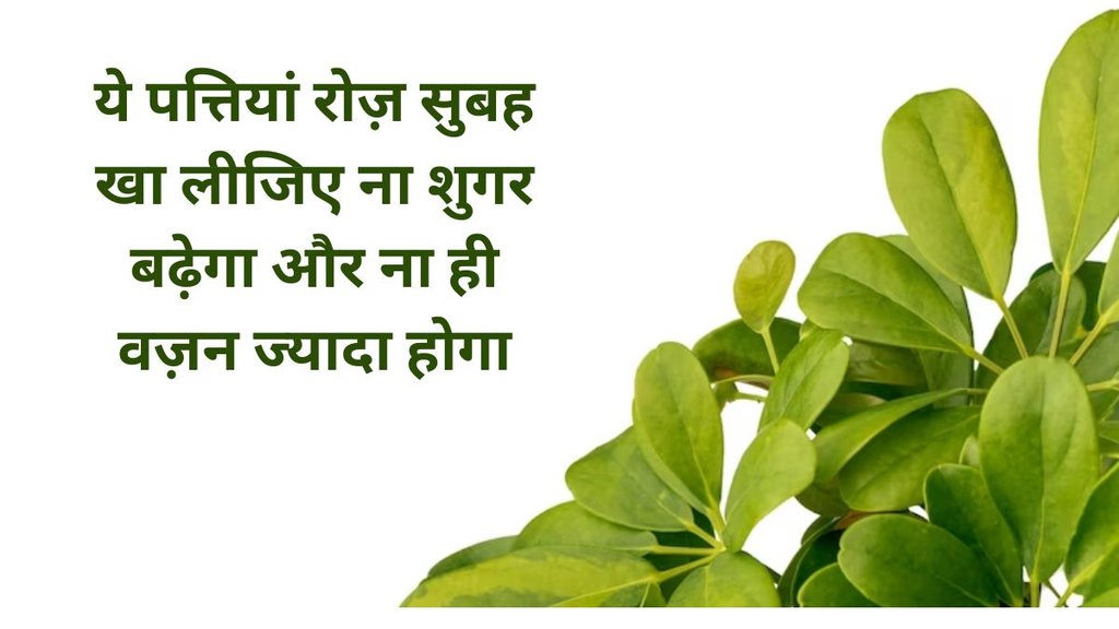 Moringa leaf benefits,health tips,drumsticks benefits,सहजन की पत्तियों के फायदे,सहजन की पत्तियों के स्वास्थ्य लाभ,सहजन की पत्तियों के 5 फायदे,सहजन की पत्तियां कब खानी चाहिए,स