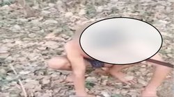 मध्य प्रदेश में युवक के कपड़े उतरवाकर बेल्ट से पीटा, गले में पट्टा डाल भौंकने को किया मजबूर, वायरल हुआ वीडियो