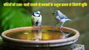 astrological benefits of feeding birds, benefits of bird feeding