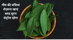 नीम की 10 पत्तियों का रोज़ाना करें सेवन, बीमारियां हो जाएंगी कोसों दूर, सेहत के साथ ही स्किन पर भी दिखेगा असर