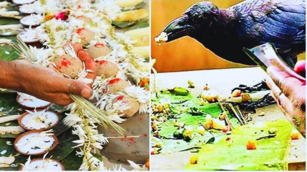 pitru paksha 2023, Pitru Paksha Rules