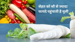 Radish Benefits: सेहत पर जादुई असर करती है मूली, पेट की करती है सफाई और बवासीर का करती है इलाज, आचार्य बालकृष्ण से जानिए इसके 5 फायदे