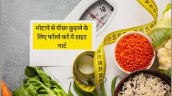 पेट फूलकर गुब्बारा होता जा रहा है लेकिन जिम जाने का टाइम नहीं है तो बस 7 दिन फॉलो कर लें ये डाइट प्लान, छूट जाएगा मोटापे से पीछा
