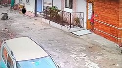 प्राइवेट पार्ट पर चोट, खून से सने कपड़े, अर्धनग्न हालत में सड़क पर भटकती रही… उज्जैन में बच्ची के साथ हैवानियत