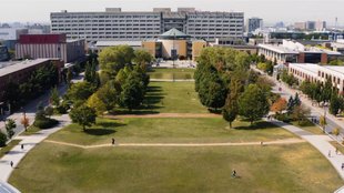 york university | canada | india |