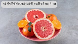 graprefruit । grapefruit nutritional profile । grapefruit health benefits