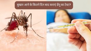 Dengue । Dengue Test । Dengue Symptoms