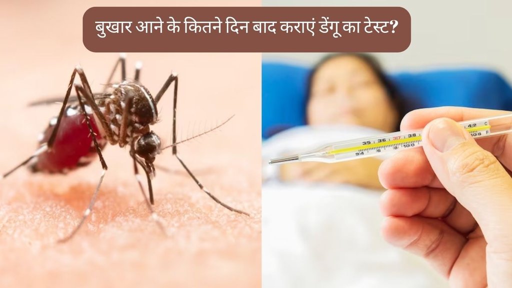 Dengue । Dengue Test । Dengue Symptoms