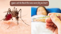 Dengue Test: बुखार आने के कितने दिन बाद करवाना चाहिए डेंगू का टेस्ट? बीमारी के जानलेवा होने से पहले जान लें ये जरूरी बात