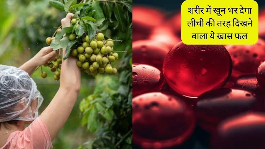 Longan । Longan Fruit । Haemoglobin Fruit