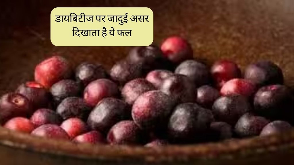Phalsa Fruit । diabetes । diabetes fruit