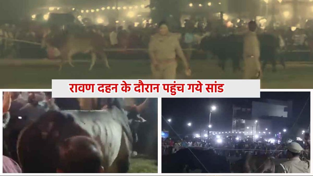 Akhilesh Yadav Ravan Dahan Bull