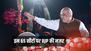 Lok Sabha Elections, BJP, Muslim Votes